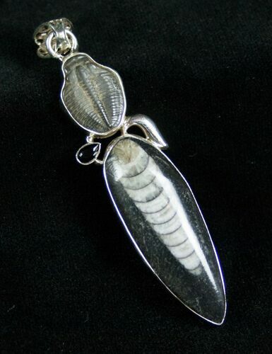 Fossil Orthoceras & Trilobite Pendant - Sterling Silver #7035